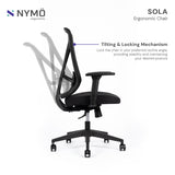 Sola Ergonomic Chair